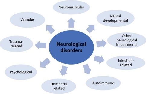Types of Neurological Disorders